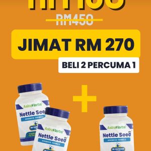 Nettle - 2 Botol Free 1  Botol